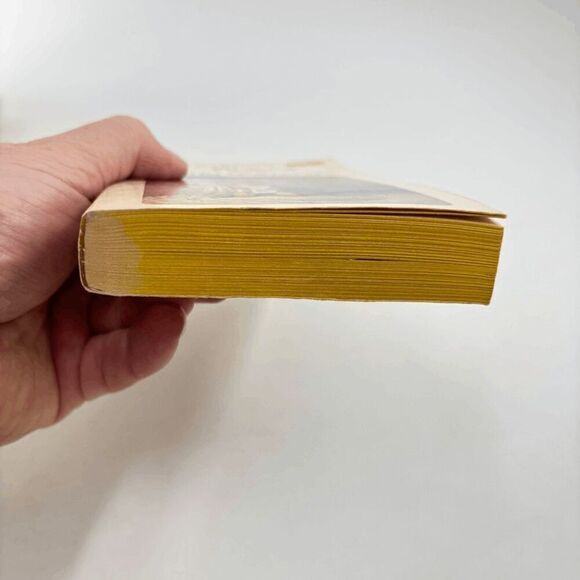 Kajira of Gor 19 John Norman vintage PB BDSM Cover Art 1st Printing - Picture 4 of 8